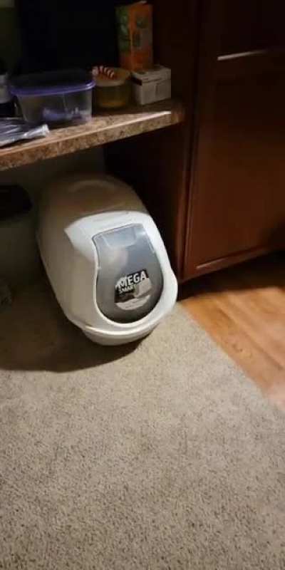 Mega smart