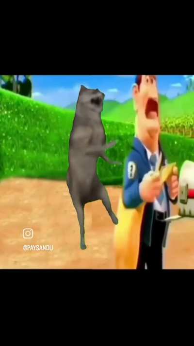 E o Paysandu q lan&ccedil;ou essa ao vivo 