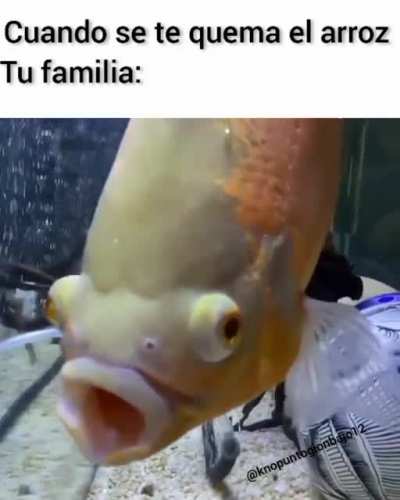 Hij0delagranpvt&auml;
