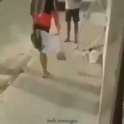 Chis de
