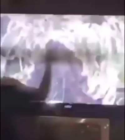 Anger Issues Trashy