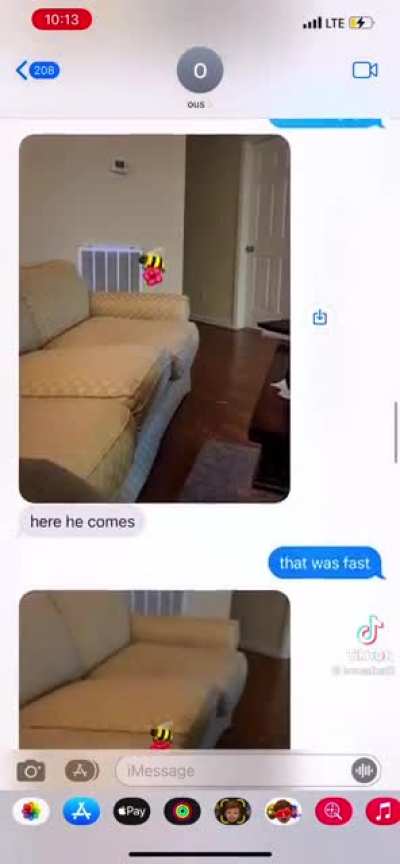 Aww cute…