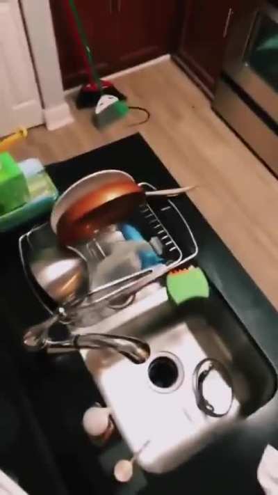Snakes comes out from bottom of oven