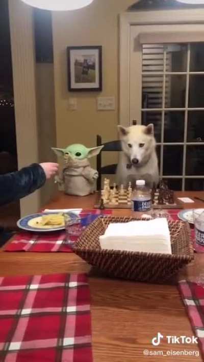 Sibling love between a baby and husky