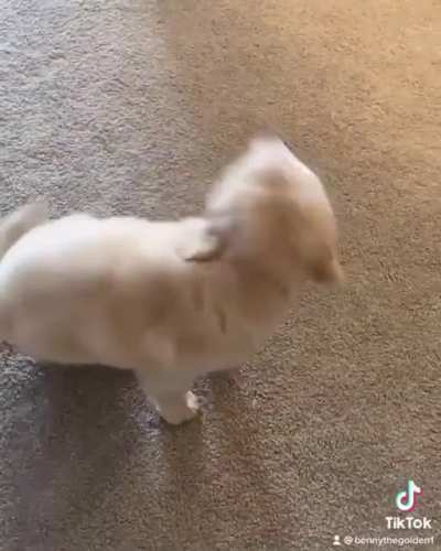 You spin me right round baby