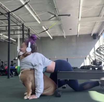 Lucky Dog