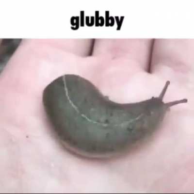 Slugs rule