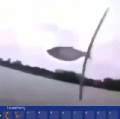 Flyin fish