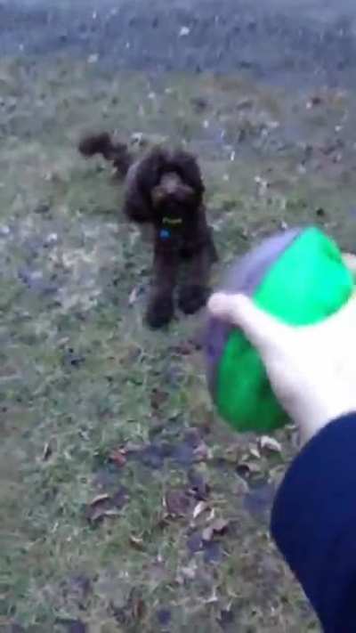 He took it from me first, I swear.