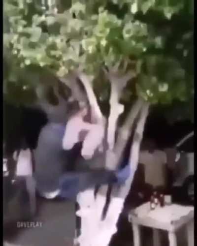 Title 