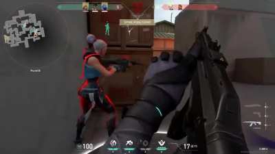 2 iq Jett