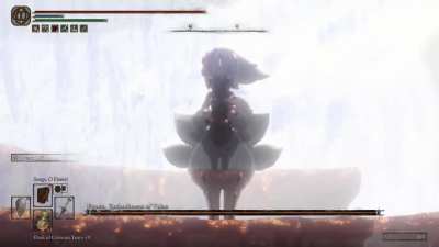 Faputa of the Golden Order