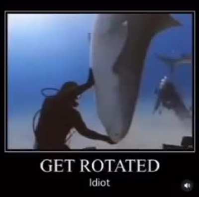 Sharks