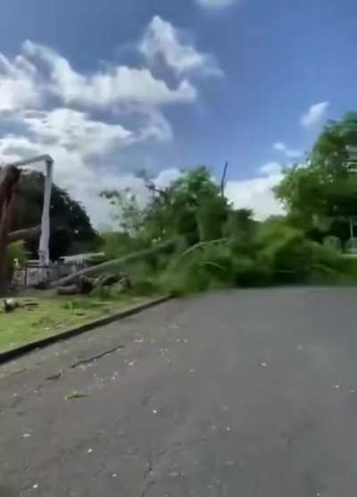 Mother Nature