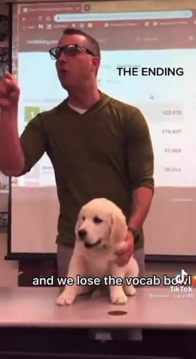 Buck the vocab dog