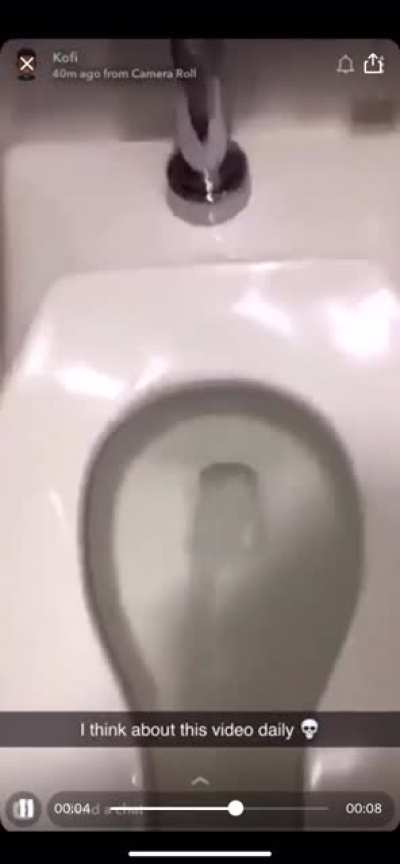 Cursed_squirel