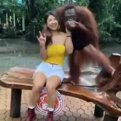 Monke