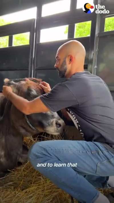Blind cow who spent 19 years chained up can't stop hugging her parents &mdash; and she LOVES the house they made for her