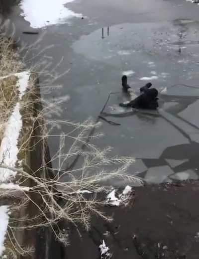 Jumping onto a sheet of ice