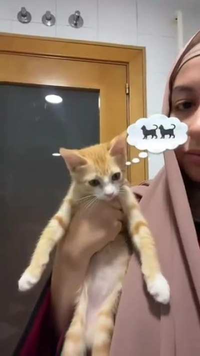 🤨🤨🤨🤨