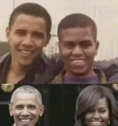 They look similar