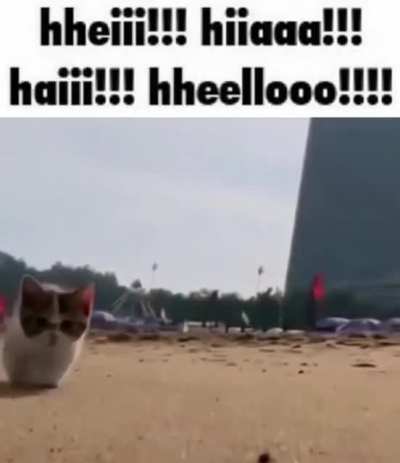 :3