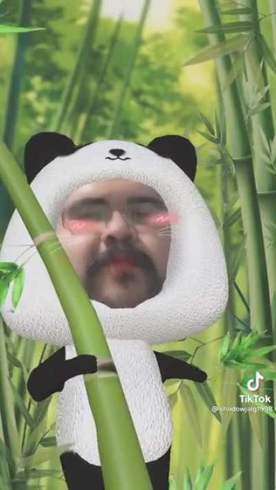 I don&rsquo;t know what to say&hellip;.. Panda&hellip; I guess