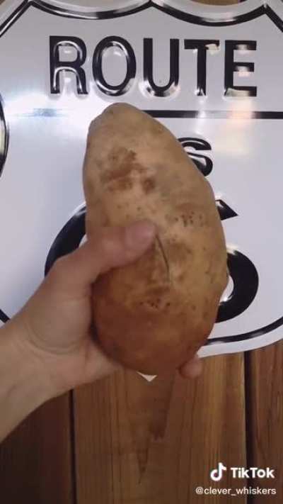 Chonky brown boi