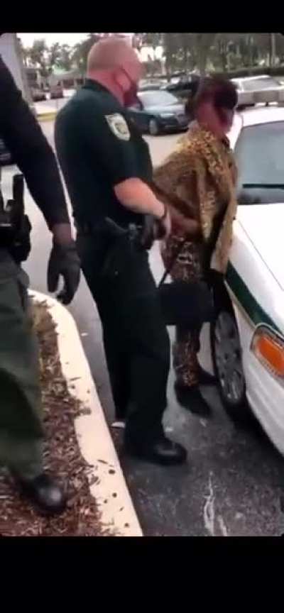Part Two of Crazy Karen Getting Arrested