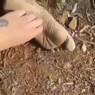 tickling