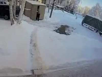 Nononoyes