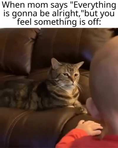 oh no oh no oh no