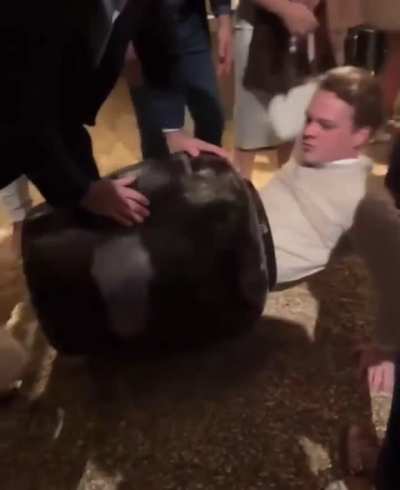 Ain&rsquo;t no way he climbed in it wtf