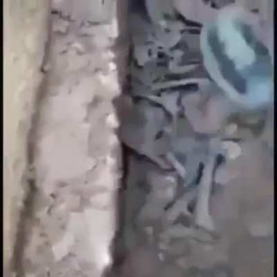Lan bu ka&ccedil;ak defineciler manyak amk