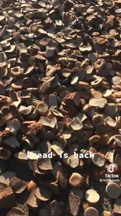 bread