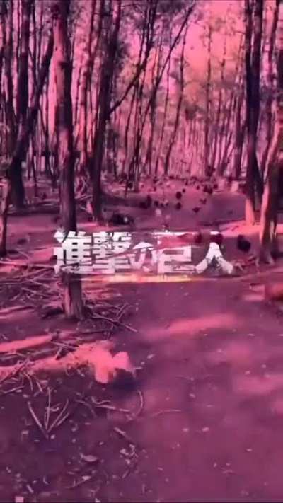 Attack on cocks