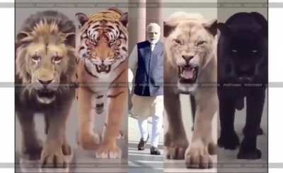Happy Birthday Hindu Sher PM Narendra Modiji