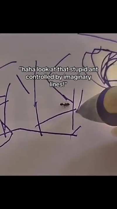 . . . 