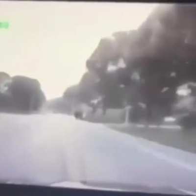 Driver Falls Asleep (from another sub &amp;amp; I don't believe it's been posted here before)