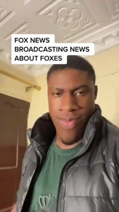 bbc news