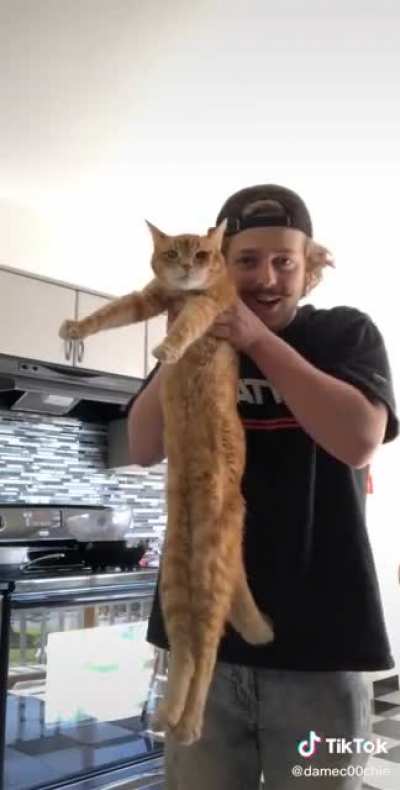 Long boy