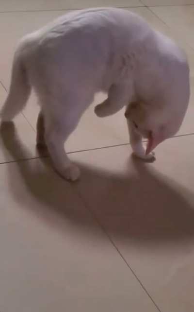 maYbE MaYbE mAyBe