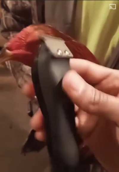 Getting ready for Valentine&rsquo;s Day