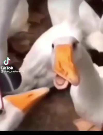 Be a jackass, you get fucked up 🤷🏻&zwj;♂️ 