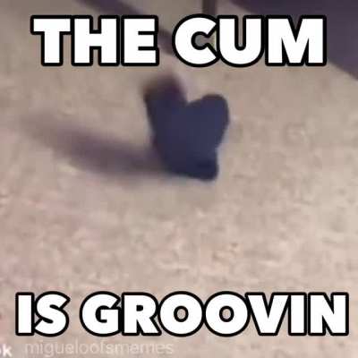 what the sock doin?