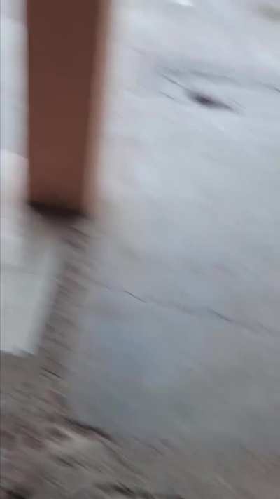 Que deber&iacute;a hacer rombo?
