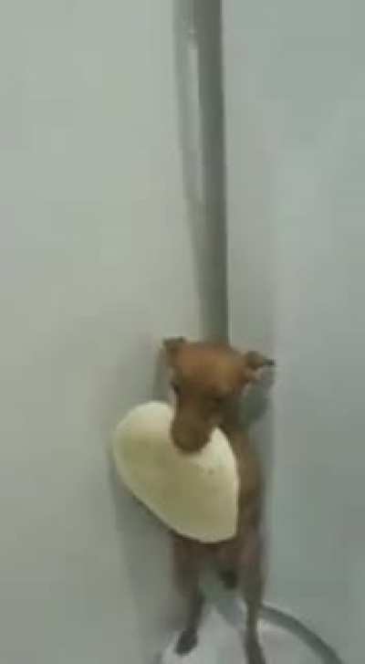 e agora giovani