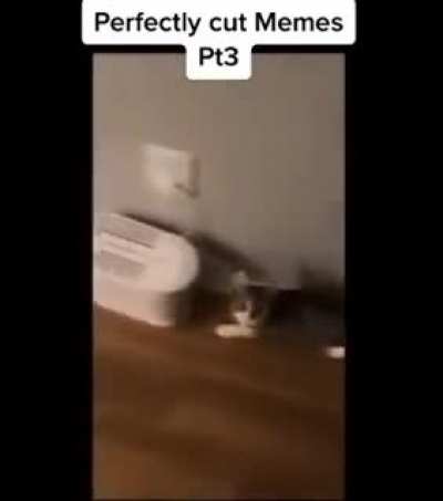 Perfectly cut memes