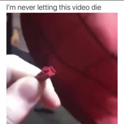 Dont let this die!