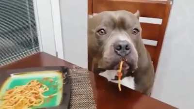 120% Innocent